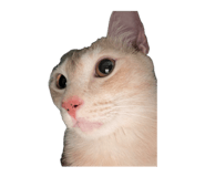 839653038