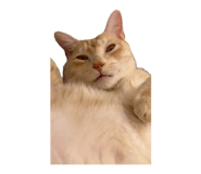 839653044