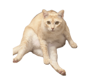 839653046