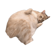 839653049