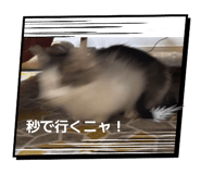 839653178
