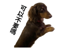 839653254