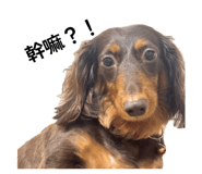 839653261