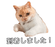 839653419
