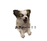 839653491