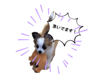 839653492