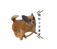 839653493
