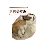 839653496