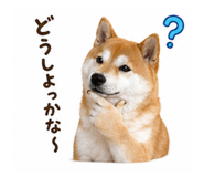839653686