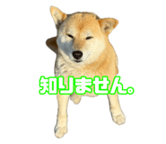 839654028
