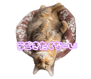 839654029