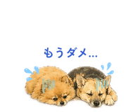 839654502