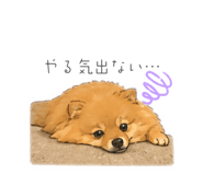 839654511