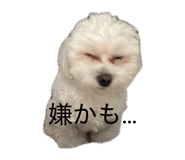 839654591