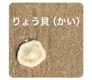 839654623