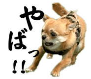 839654662