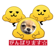 839654664