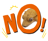 839654787