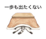 839654813