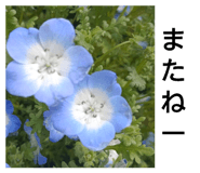 839654948