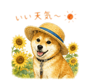 839655043