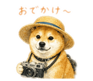 839655053