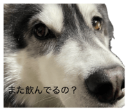 839655233