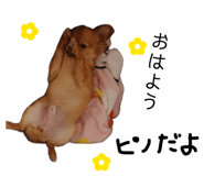 839655676