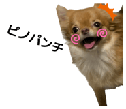 839655678