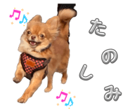 839655679