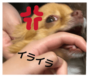 839655680