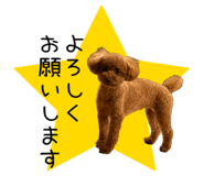 839655828