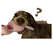 839655926
