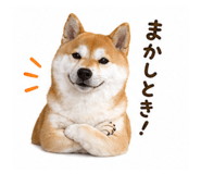 839657523