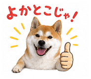 839657528