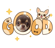 839657557