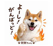 839657804
