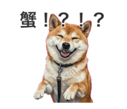 839657923
