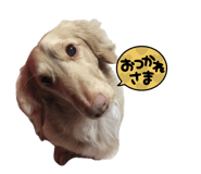 839658129