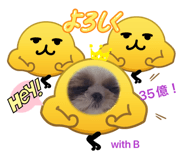 839658162