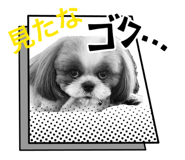 839658163