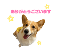 839658194