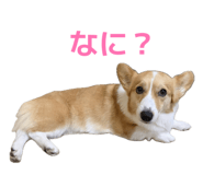 839658200