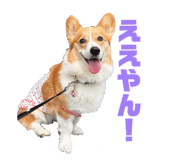 839658205