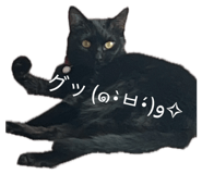 839658572
