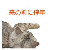 839658779