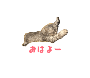 839658784