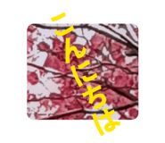 839658786