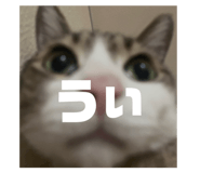 839658794