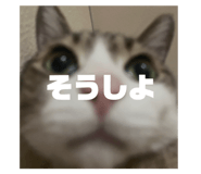 839658795